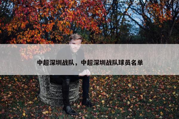 中超深圳战队，中超深圳战队球员名单