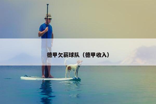 德甲欠薪球队（德甲收入）