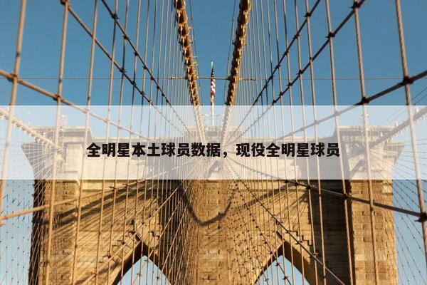 全明星本土球员数据，现役全明星球员