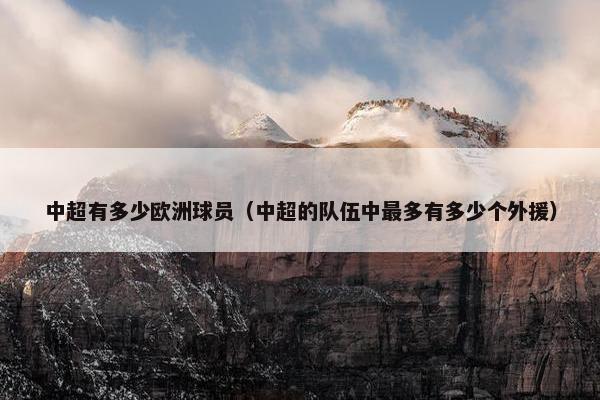 中超有多少欧洲球员（中超的队伍中最多有多少个外援）