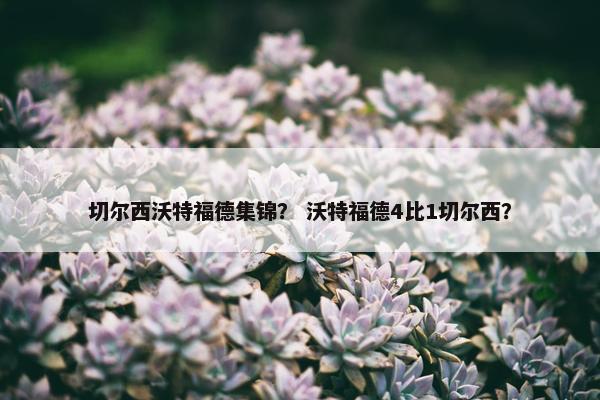 切尔西沃特福德集锦？ 沃特福德4比1切尔西？