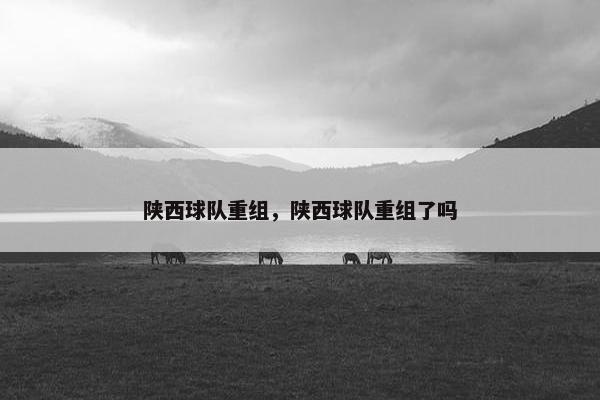 陕西球队重组，陕西球队重组了吗