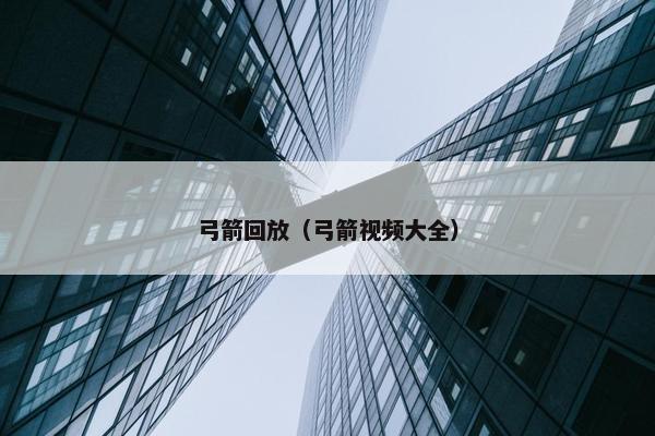 弓箭回放（弓箭视频大全）