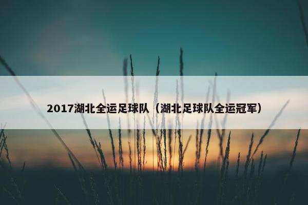 2017湖北全运足球队（湖北足球队全运冠军）