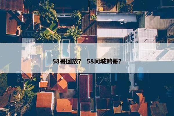 58哥回放？ 58同城鹩哥？