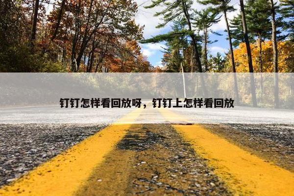 钉钉怎样看回放呀，钉钉上怎样看回放