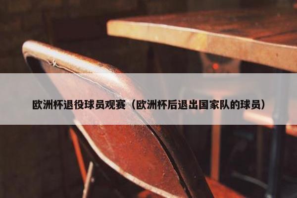 欧洲杯退役球员观赛（欧洲杯后退出国家队的球员）