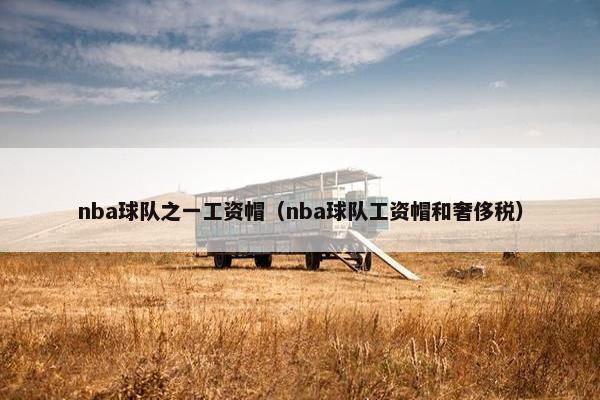 nba球队之一工资帽（nba球队工资帽和奢侈税）