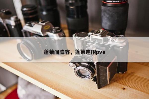 蓬莱间阵容，蓬莱连招pve