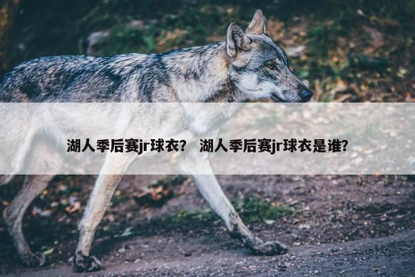 湖人季后赛jr球衣？ 湖人季后赛jr球衣是谁？