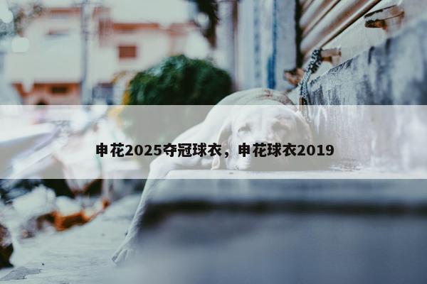 申花2025夺冠球衣，申花球衣2019