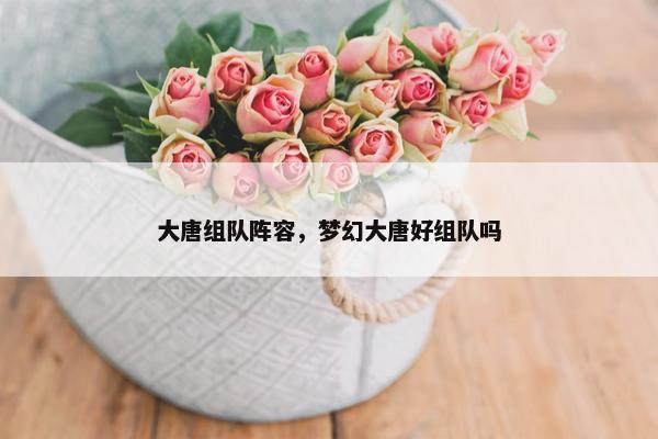 大唐组队阵容，梦幻大唐好组队吗