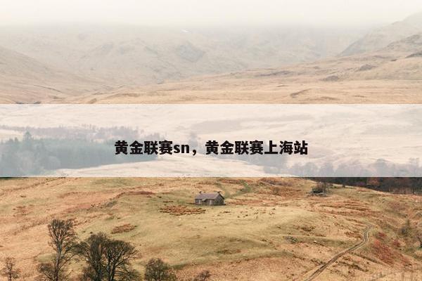黄金联赛sn，黄金联赛上海站