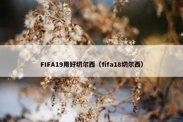 FIFA19用好切尔西（fifa18切尔西）