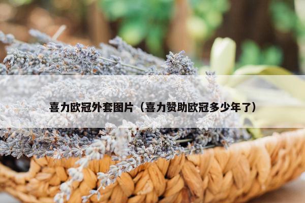喜力欧冠外套图片（喜力赞助欧冠多少年了）