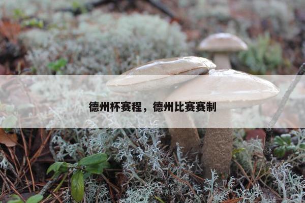 德州杯赛程，德州比赛赛制