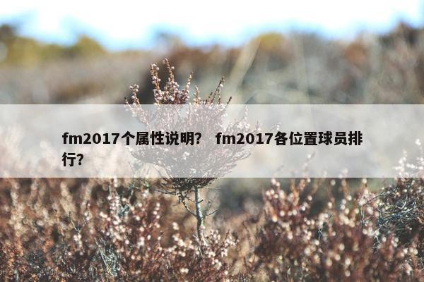 fm2017个属性说明？ fm2017各位置球员排行？