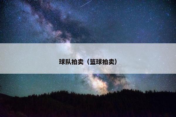 球队拍卖（篮球拍卖）