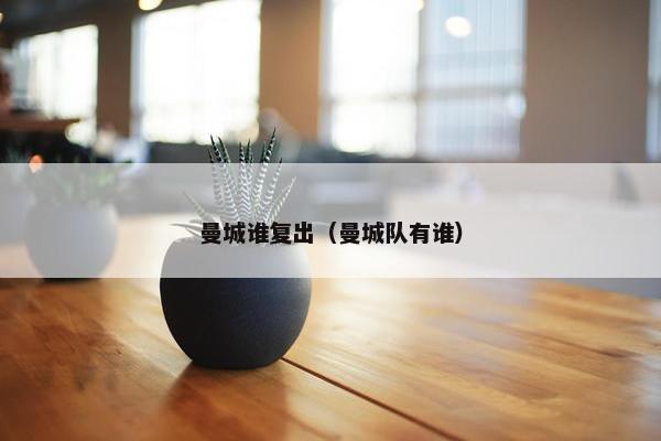 曼城谁复出（曼城队有谁）