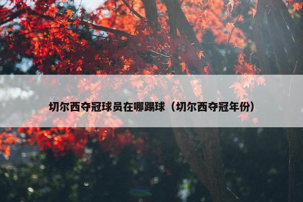 切尔西夺冠球员在哪踢球（切尔西夺冠年份）