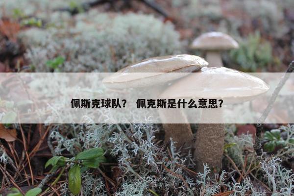 佩斯克球队？ 佩克斯是什么意思？
