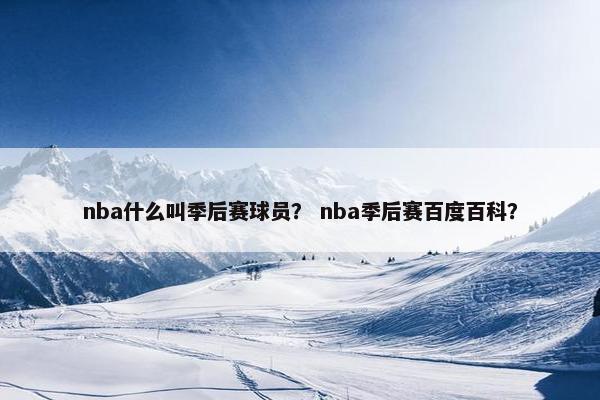 nba什么叫季后赛球员？ nba季后赛百度百科？