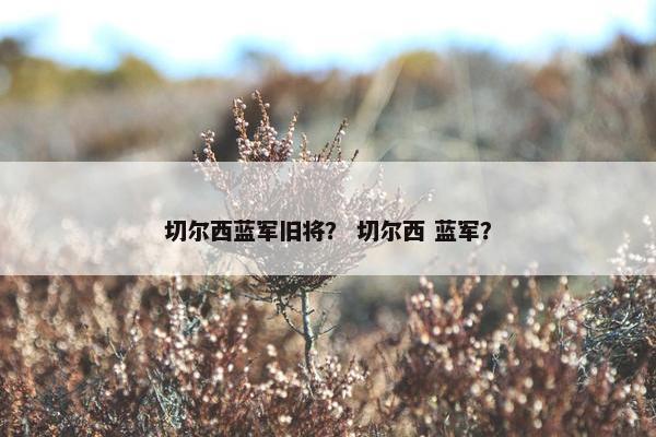 切尔西蓝军旧将？ 切尔西 蓝军？
