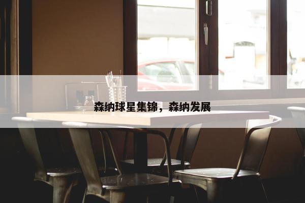 森纳球星集锦，森纳发展