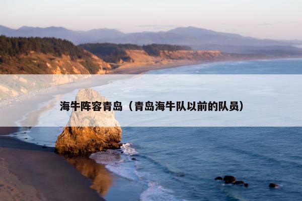 海牛阵容青岛（青岛海牛队以前的队员）