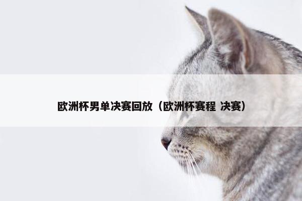 欧洲杯男单决赛回放（欧洲杯赛程 决赛）