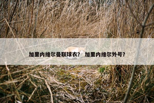 加里内维尔曼联球衣？ 加里内维尔外号？