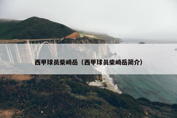 西甲球员柴崎岳（西甲球员柴崎岳简介）