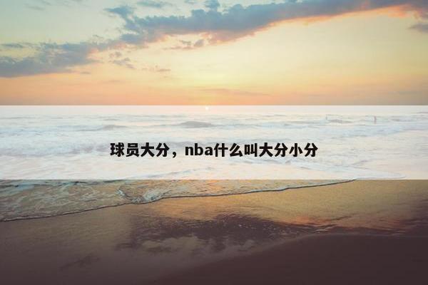 球员大分，nba什么叫大分小分