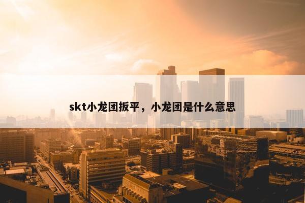 skt小龙团扳平，小龙团是什么意思