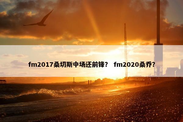 fm2017桑切斯中场还前锋？ fm2020桑乔？