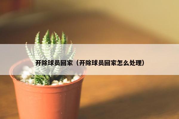开除球员回家（开除球员回家怎么处理）