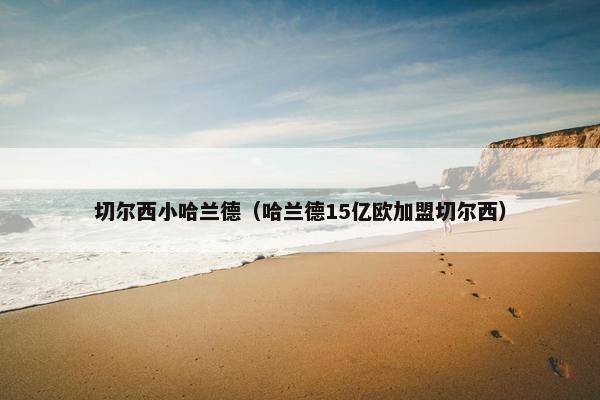 切尔西小哈兰德（哈兰德15亿欧加盟切尔西）