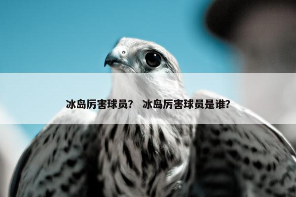 冰岛厉害球员？ 冰岛厉害球员是谁？