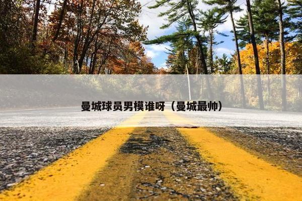 曼城球员男模谁呀（曼城最帅）