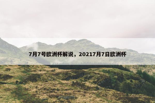 7月7号欧洲杯解说，20217月7日欧洲杯