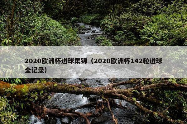 2020欧洲杯进球集锦（2020欧洲杯142粒进球全记录）