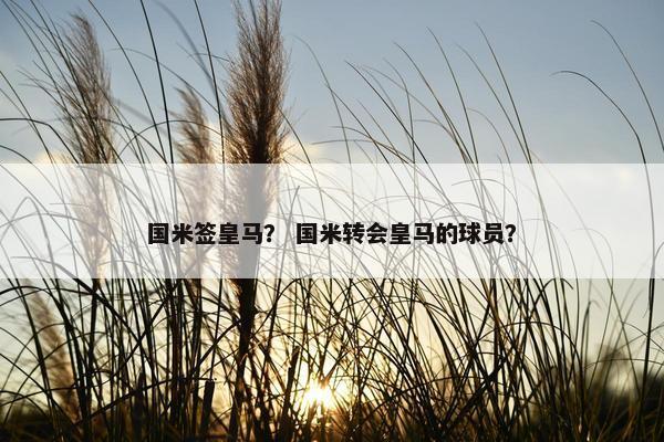 国米签皇马？ 国米转会皇马的球员？