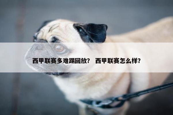 西甲联赛多难踢回放？ 西甲联赛怎么样？