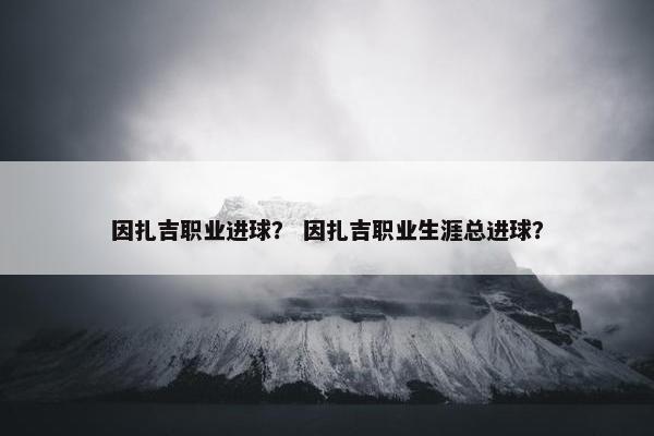 因扎吉职业进球？ 因扎吉职业生涯总进球？
