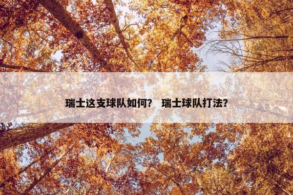 瑞士这支球队如何？ 瑞士球队打法？
