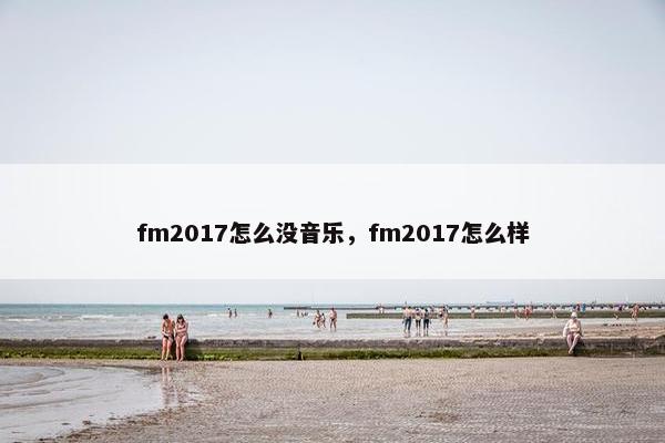fm2017怎么没音乐，fm2017怎么样
