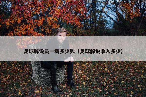 足球解说员一场多少钱（足球解说收入多少）