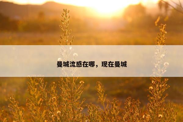 曼城流感在哪，现在曼城