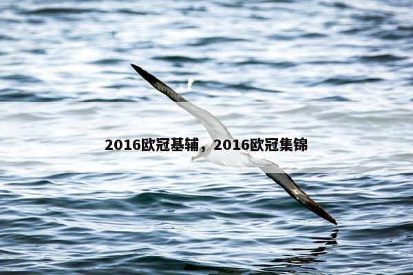 2016欧冠基辅，2016欧冠集锦