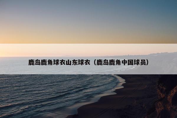 鹿岛鹿角球衣山东球衣（鹿岛鹿角中国球员）